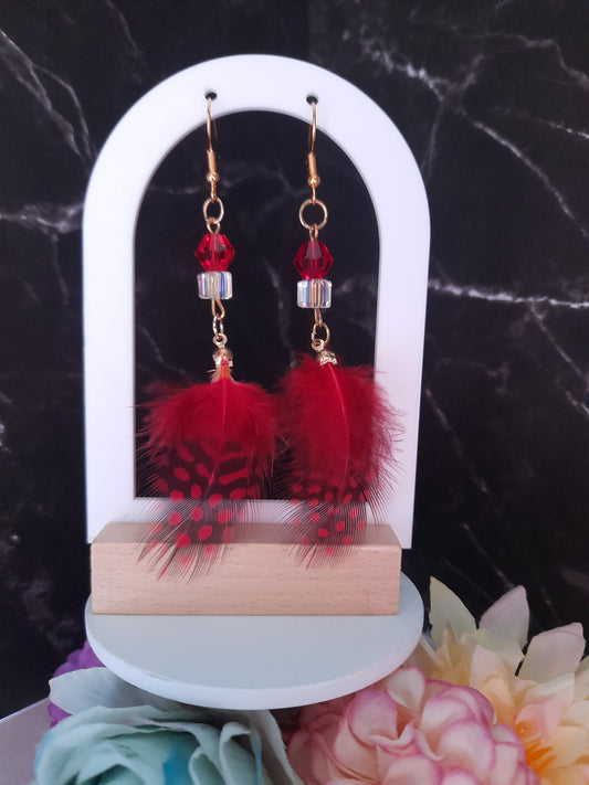 Boucles Cardinal